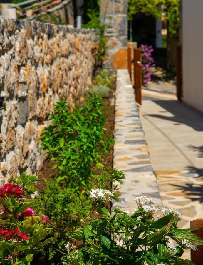 Eleni'S Cozy House Villa Agios Nikolaos Exteriör bild